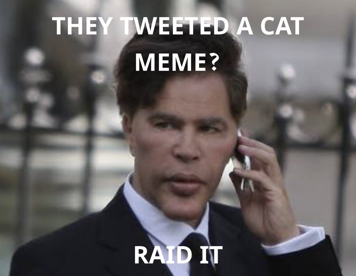 Cat meme szn is officially here

Let's show them who's boss $OMNI