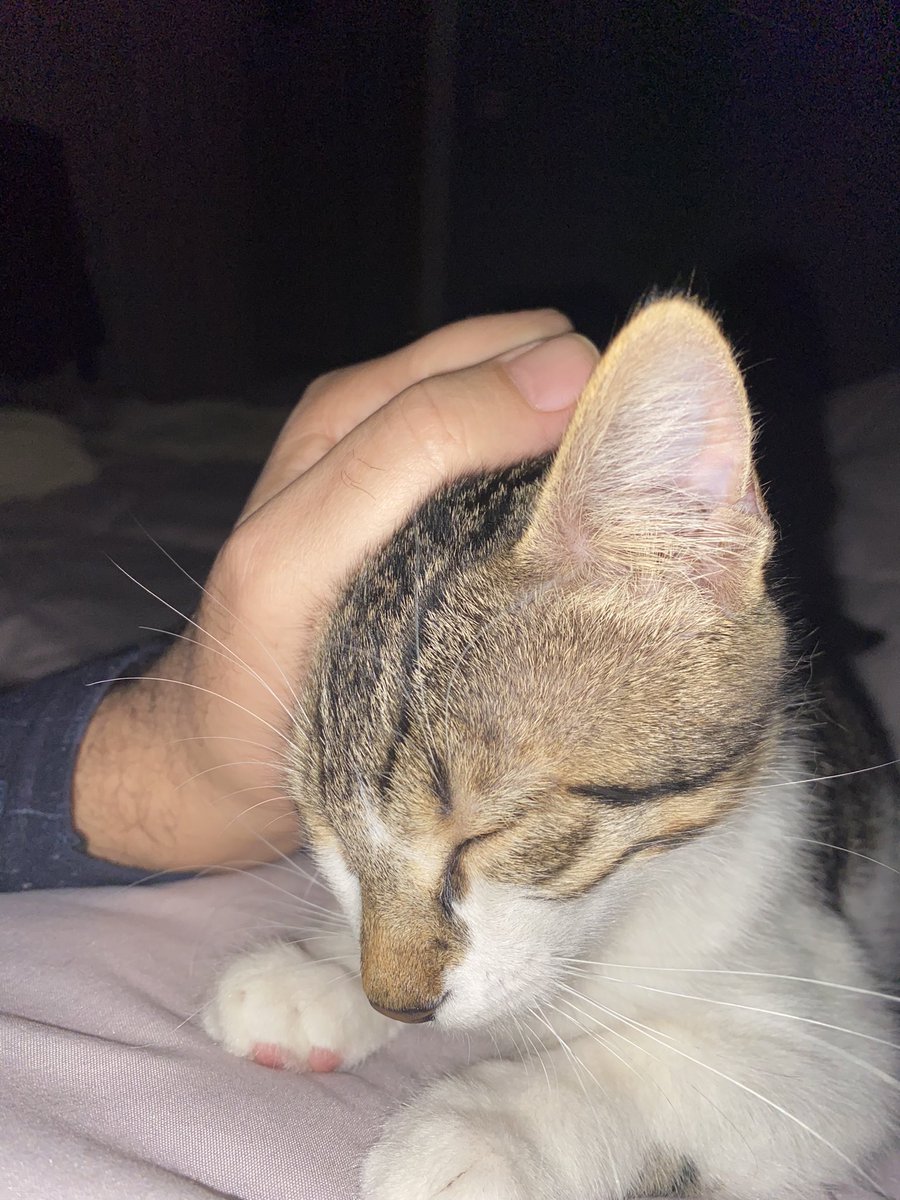 İyi geceler 💤