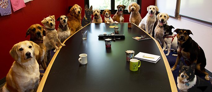 WoofWisdom's tweet photo. Woof Wisdom: “Customers will never love your company until the employees love it first.”- Simon Sinek 
#WoofWisdom #woof https://t.co/UNJNJsSxkV