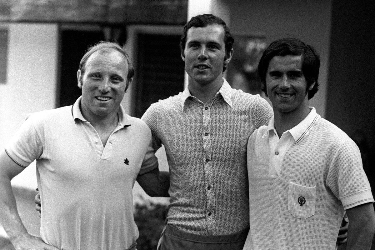 fiago7's tweet photo. We lost all 3 in the last 3 years. They play together in heaven now 🕊️🙏 https://t.co/VK7nrNHuLH
