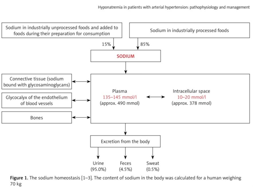 ZHeart11768530's tweet photo. Hyponatremia in patients with arterial hypertension: pathophysiology and Management #2023State-of-the-Art #Review #openaccess 

https://t.co/couQI7FOM9
 #CardioEd #CardioTwitter #MedEd #FOAMed #CardioEd #Cardiology https://t.co/wVGdZ2uKRj