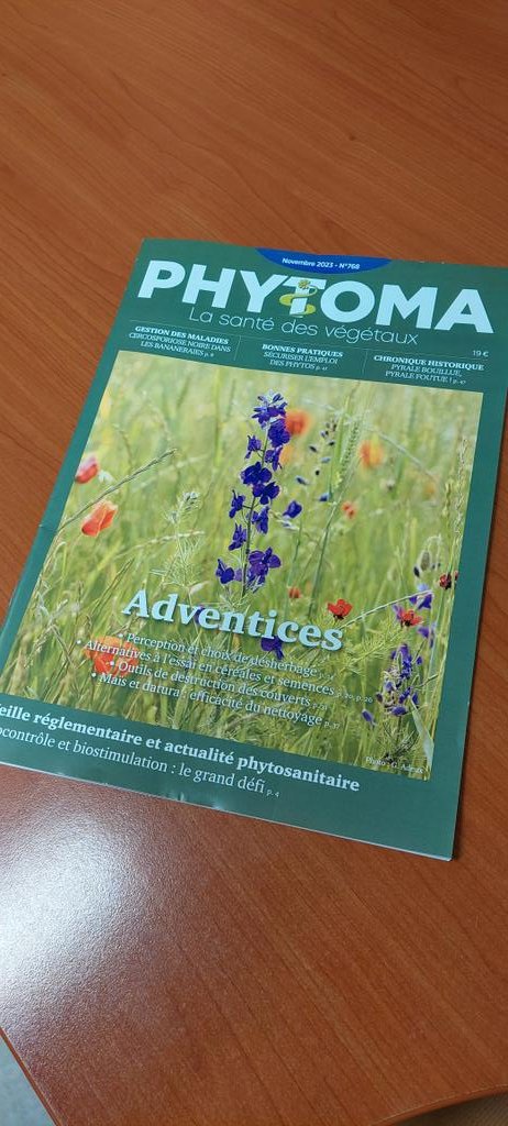 DeepImpact tweet media