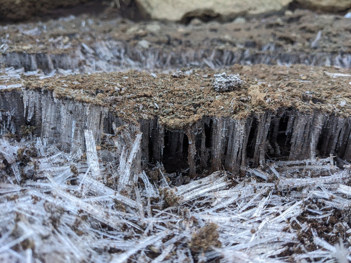 Jan Oppelt tweet media