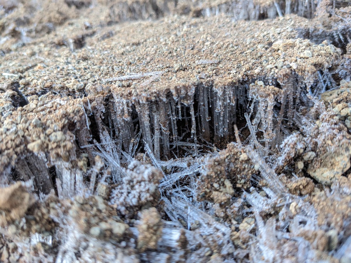 Jan Oppelt tweet media