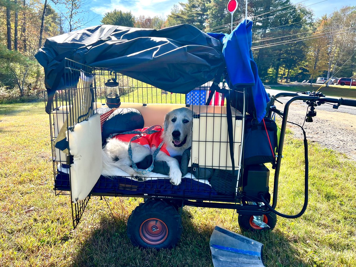 2dogs2000miles's tweet photo. Gm! It's been a tough few weeks but Indy continues to improve from his infection. But it made me realize it's time to get back on the road with him for Indiana's last walk 🐶🔥
Plans are already being made for #Walk4 tentatively scheduled for May/June. It will be my shortest walk to date - approx 160 miles - and like my previous one with Grayson, I'll be pushing Indy in a motorized cart all the way.
I'm just getting off crutches after breaking my foot 2 months ago so I've got to go thru intensive rehab and training to be able to pull it off successfully.
But unlike #Walk3 I'll be creating and minting art during our 30 days on the road to help raise awareness for cancer in dogs @PuppyUpOrg 🔥
Apologies for being not present here as much since Indy became sick but when I'm quiet I'm thinking & observing & planning. And taking care of my kids who are both challenged in their own way 🐶❤️
The official Walk 4 announcement will be aired on my podcast Fuzzybutts & Friends January 16th! Puppy Up talk soon! 🖤🔥
Photo from my 250 mile walk through the mountains of New York with Grayson in 2022