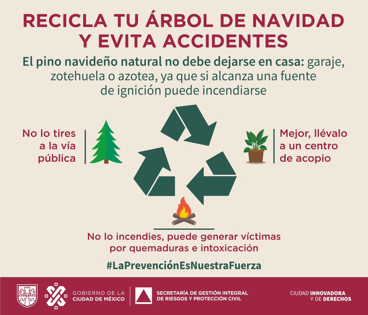 SGIRPC_CDMX's tweet photo. Si realizas el retiro de tu pino navideño, recuerda:

▶️No debes guardarlo al interior de tu hogar
▶️No lo tires en la vía pública
▶️Llévalo a un centro de acopio
▶️No lo quemes, puedes provocar accidentes

Ubica tu centro de acopio más cercano.

#LaPrevenciónEsNuestraFuerza https://t.co/50RHqspNwp