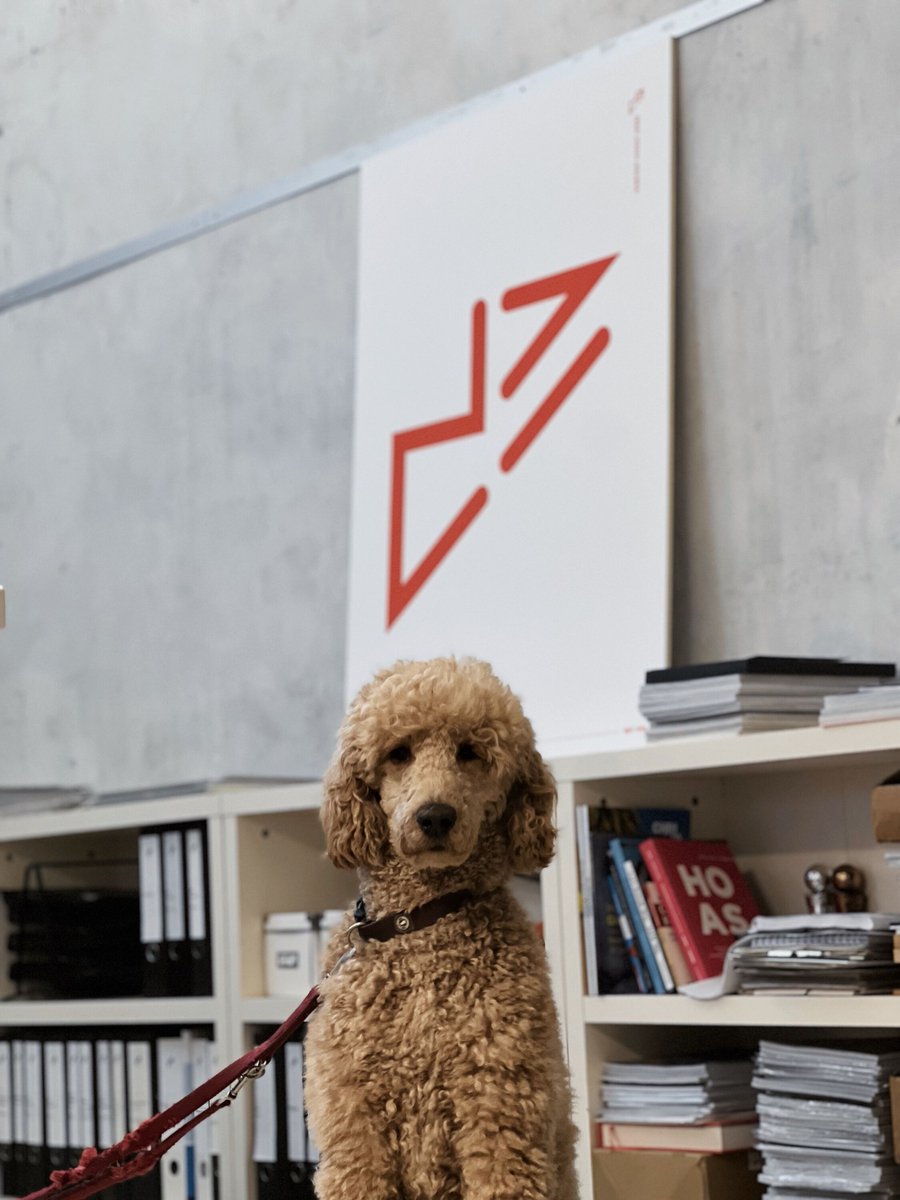 Die Feiertage waren großartig, aber wir haben unsere flauschigen Kollegen vermisst! Bolero ist bereit zum Arbeiten und wir sind es auch! 🐾💼

#designhochdrei #dogfriendly #agencylife #HomeOfficeLife  #WorkFromHomeCompanion #FluffyColleague #PawsAndProductivity