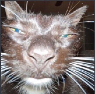 Good morning! 
How is everyone?