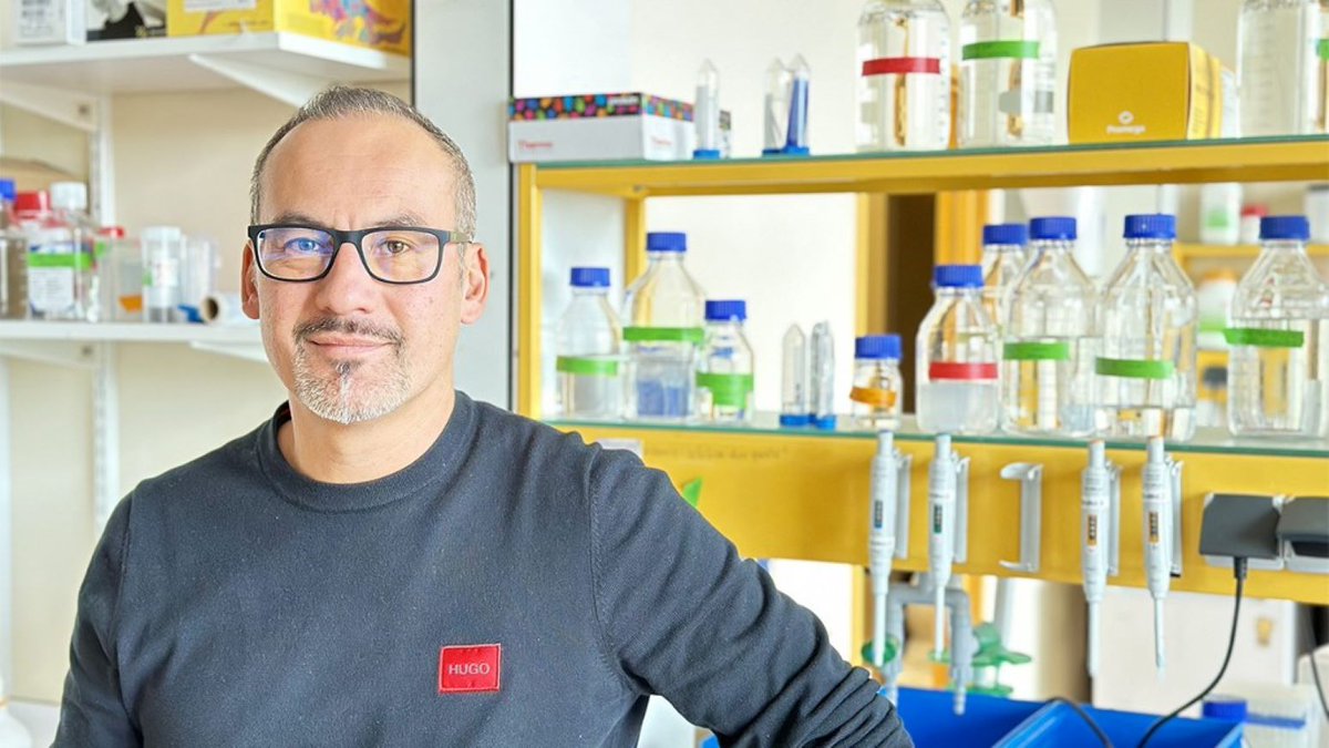 👏Congratulations to Laurent Nguyen @neuroliege @WELRI_asbl @ULiegeRecherche awarded an @ERC_Research Synergy Grant and the Audacious Medical Grant in neurology @frsFNRS to study the mechanisms involved in early brain development.