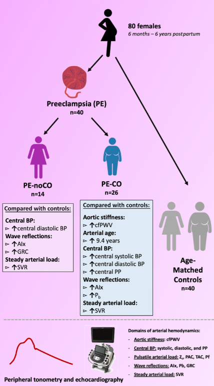 MayoClinicNeph's tweet photo. The EVA (Early Vascular Aging) Study: Association of Central Obesity with Worse Arterial Health After Preeclampsia. @ThaisCoutinhoCV #mayoclinckidney https://t.co/KODJRs97oR https://t.co/ujx228CCCX