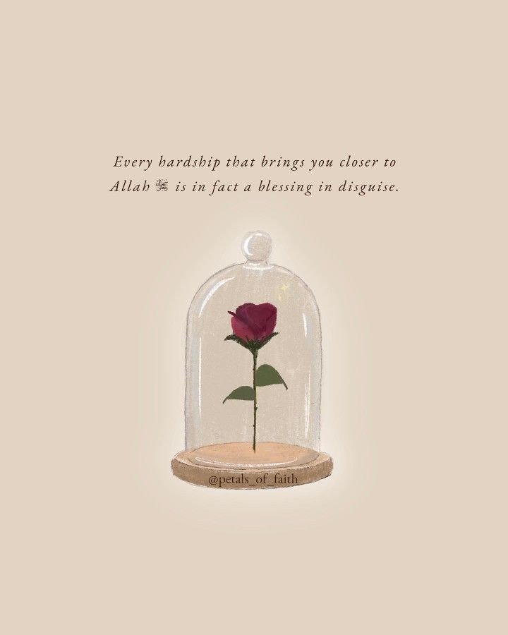 SheikhFaiz08's tweet photo. Every hardship that brings you closer to ALLAH is in fact in disguise #Islam #Quran #FreePalestine https://t.co/KBub7k1pz3