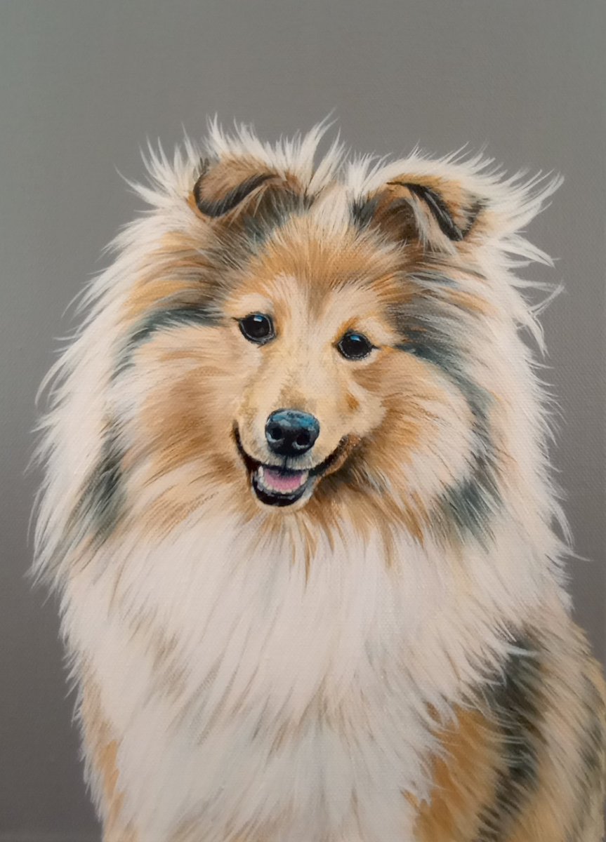 SophieBlissArt's tweet photo. SOLD - Introducing the absolutely gorgeous Ripple! 😍
I rarely get to meet the actual pets I paint, but I had the pleasure of meeting Ripple at Woof fest last year. She’s so soft!
#acrylicportrait #acrylicpainting #somuchfluff #pets #portraitartist #miniportrait #a4canvas https://t.co/EMH8tRZAN6