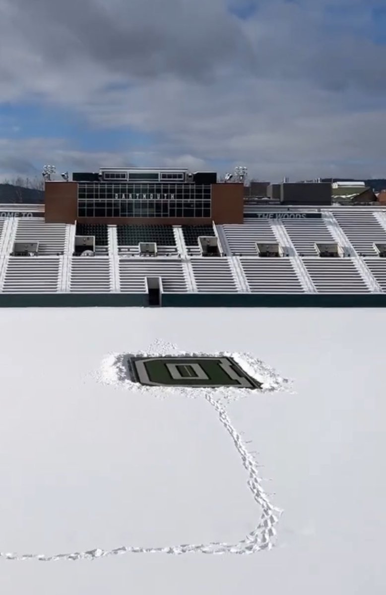 Owen Zalc tweet media