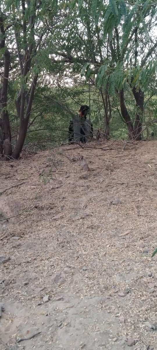 RameshJaipal's tweet photo. A resident of Tharparkar village Gadaro and a ninth class student of Dano Dhandhal High School, Kamlesh, son of Jawaro Meghwar, was found dead in a forest near Virawah. https://t.co/ueHthkcU6u