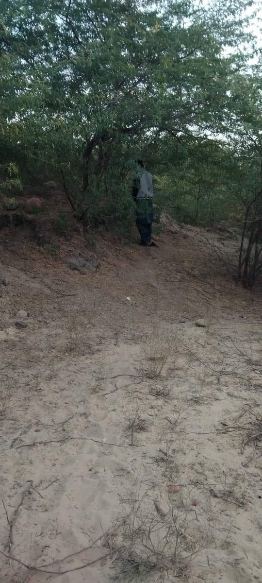 RameshJaipal's tweet photo. A resident of Tharparkar village Gadaro and a ninth class student of Dano Dhandhal High School, Kamlesh, son of Jawaro Meghwar, was found dead in a forest near Virawah. https://t.co/ueHthkcU6u