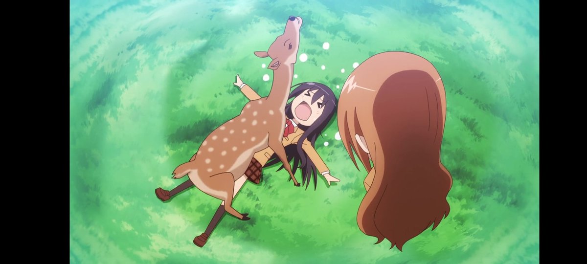 ミシズ tweet media