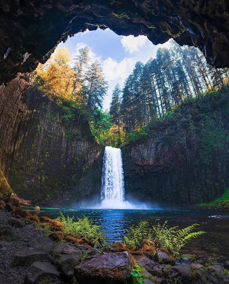 nritravelogue's tweet photo. Oregon's cascading waterfalls: Nature's breathtaking artistry in the heart of the Pacific Northwest. 🌲💦 #OregonWaterfalls #NaturalSplendor https://t.co/XKgQDCTghq