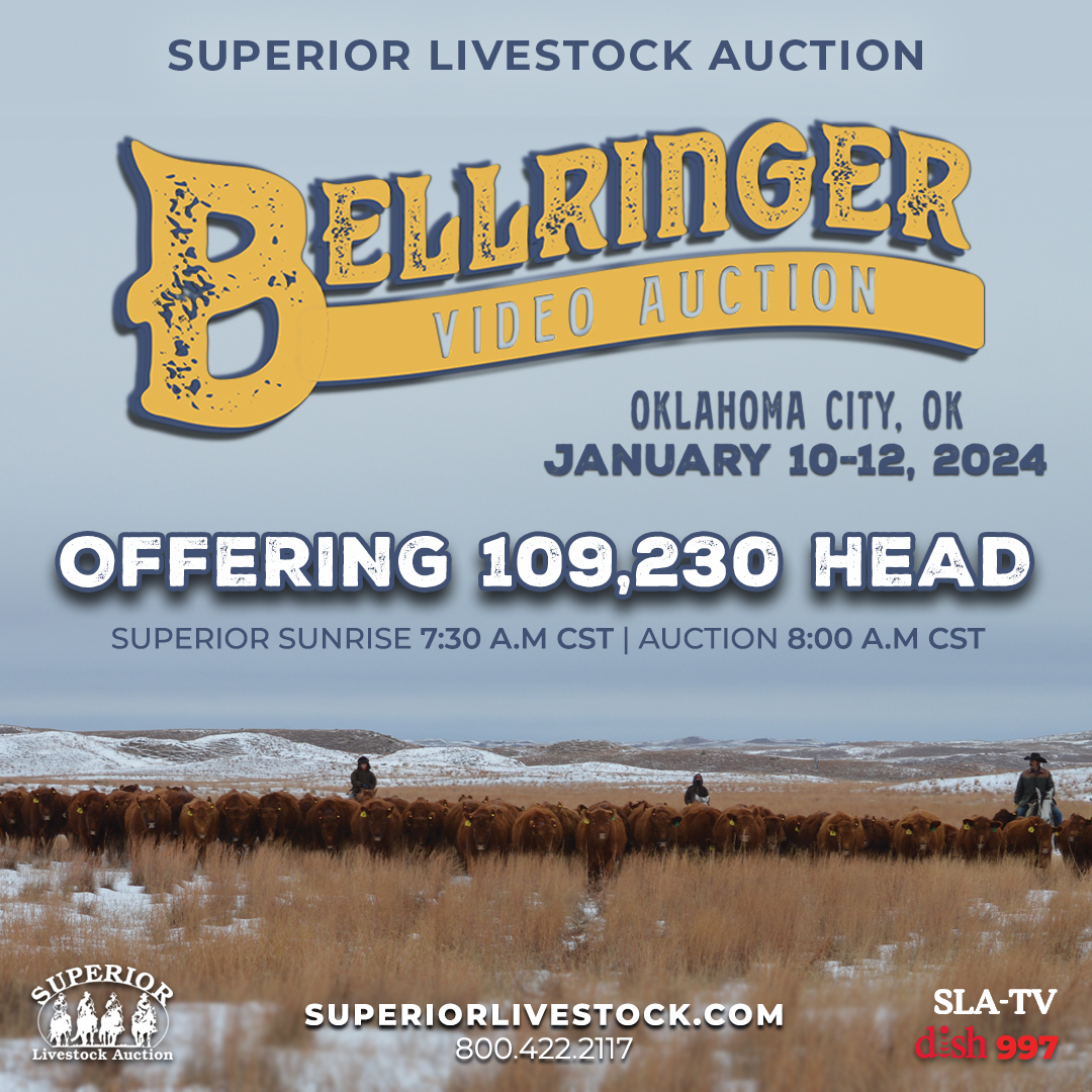 SuperiorAuction's tweet photo. Join us THIS Wednesday, January 10, in Oklahoma City as we kick off the 2024 Bellringer Video Auction! 
📚 Check out the online catalog: https://t.co/YdAKUtlBMG 
📺 Watch live on DISH Channel 997 and https://t.co/5qOxfelrtq 
🖥️ Bid online: https://t.co/78RtUAG0zk https://t.co/sZeeQ2Rk47
