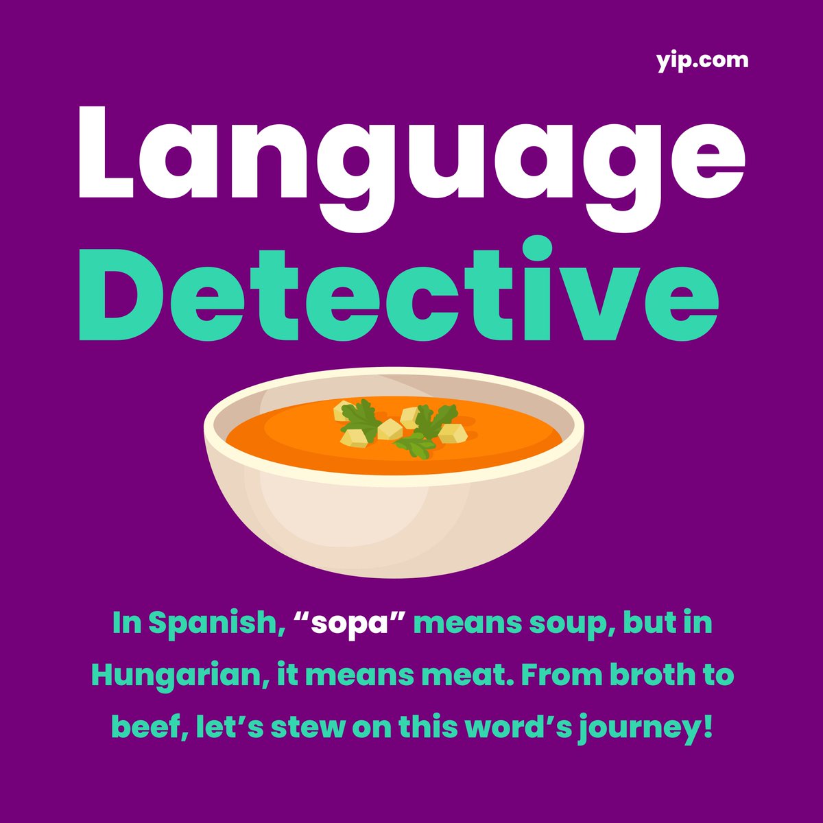 From Broth to Beef: A Culinary Journey with 'Sopa' 🍲🥩 Exploring the delicious diversity of a word that means soup in Spanish and meat in Hungarian #LanguageLove #FoodieAdventure