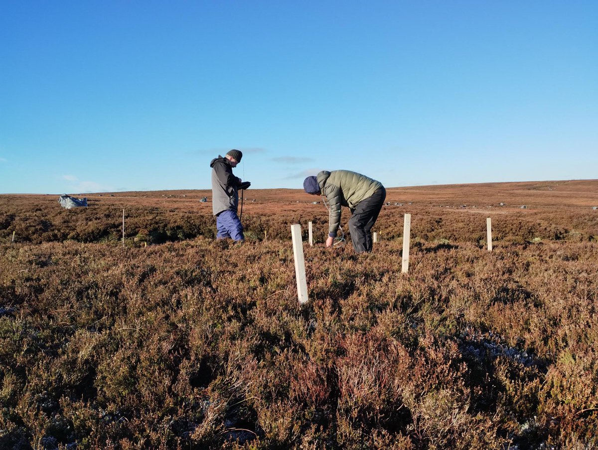 Our science team installed equipment on the moors at Snailsden (near Holmfirth) and have completed baseline monitoring on pre-works conditions, so they can accurately track the impact of the reprofiling and peat dam restoration work on the water table & vegetation #greatnorthbog