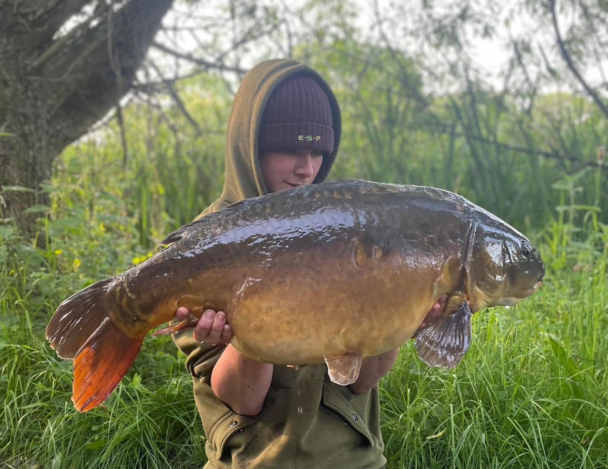 CarbonBaits's tweet photo. Jake Brady product review 

Get on the tigers 🐯 

I have used carbons tiger nuts as much as I can and managed three Yorkshire 30s whilst using them and managed to catch the lakes biggen on my first session on a new water fishing over no more than a handful of tigers https://t.co/q5KMvonsrt