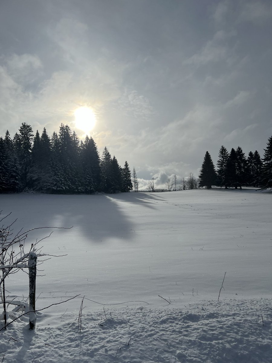 DominiqueDerain's tweet photo. @cotedelamoliere Je suis dans le haut jura https://t.co/6UgW3lT8Oz