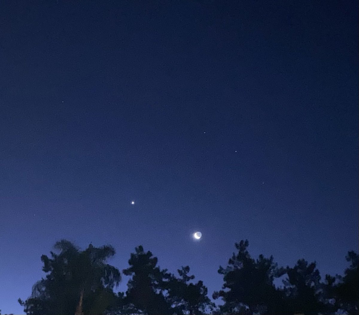 LauraWest111's tweet photo. ✨ The balsamic phased moon on a frosty early morning 🌙 ❄️🤍

✨ Surrender and trust the process ✨

#frost #chilly #instawinter #moonlight #moonphase #stars #morningsky #lunar #themoon #moonrise #skies #astronomy #stargazing #cosmos #moonshine #lookup #clearskies #awakening https://t.co/DyNimEsDMz
