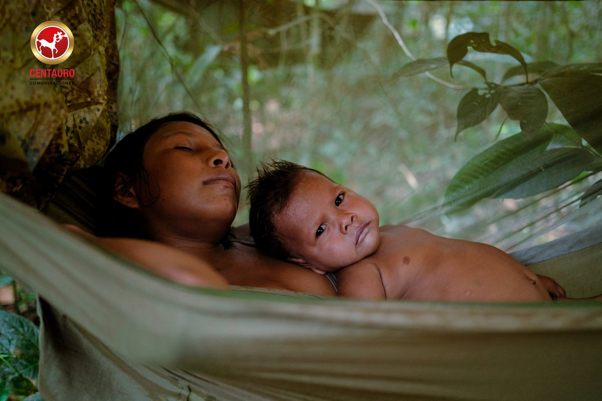 En la fotografía Amaira la hermana mayor y Bena el niño más pequeño, actores naturales de la región que tuvieron la capacidad de comprender y transmitir las emociones y el comportamiento que quizás tuvieron los hermanos Mucutuy al pasar situaciones difíciles dentro de la selva