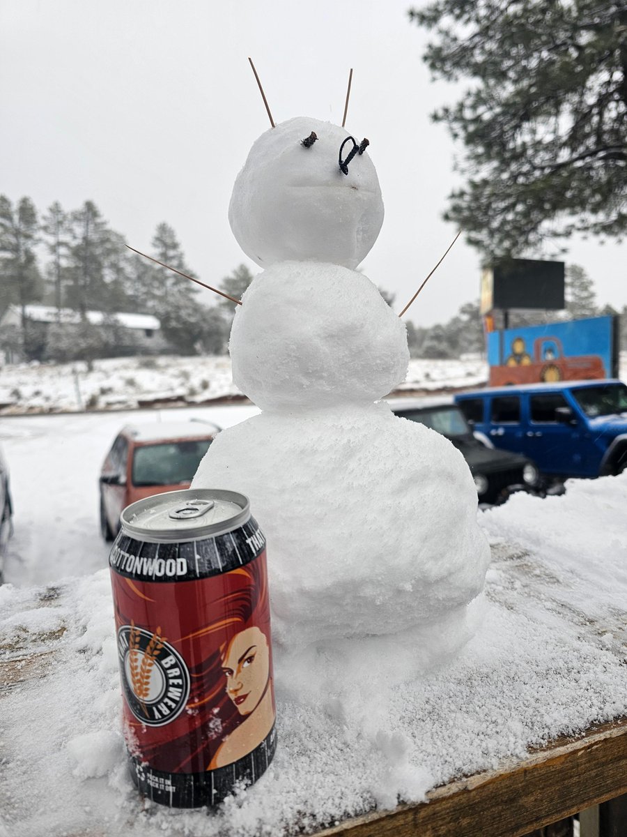 Sunday turned out to be funday! Snow didn't stop our intrepid crew and great customers from having an awesome day. Come by today for great food and craft beer. #THATBrewery #THATBreweryAndPub #PineStrawberryAZ