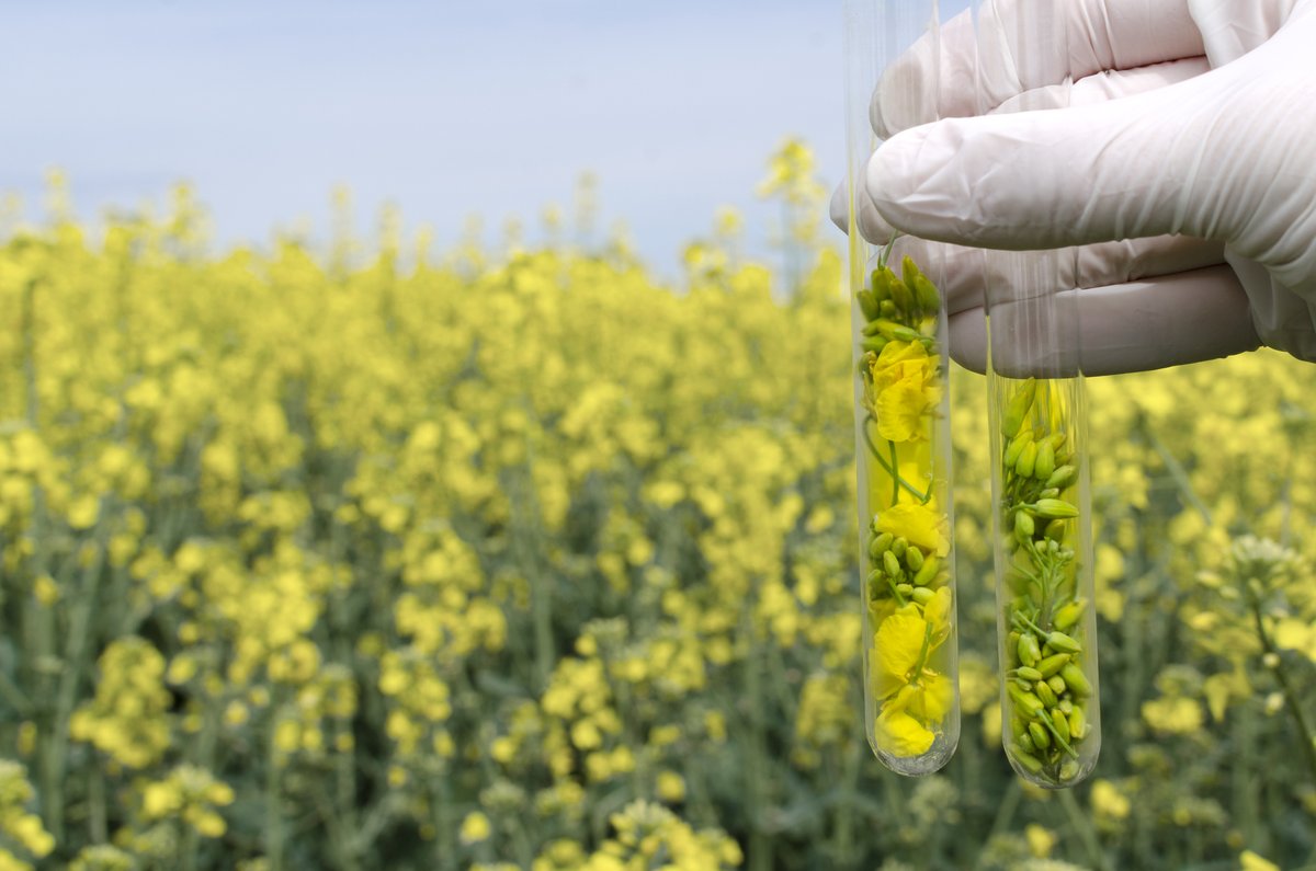 Join us March 12th @ 8:30am - Getting It Right Canola Virtual Zoom Meeting 

Getting It Right is an annual crop production conference featuring the latest research-based production information presented by NDSU specialists.

Register here: ndsu.zoom.us/webinar/regist…