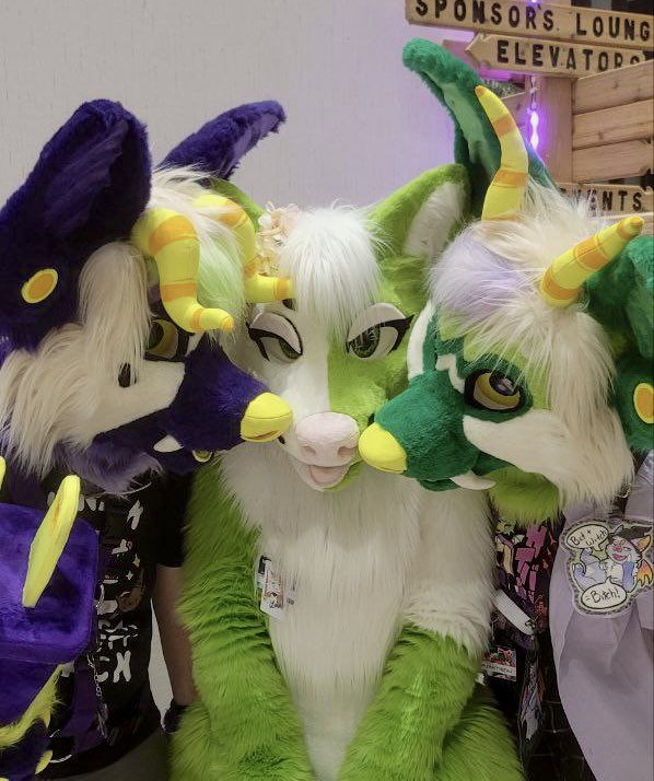 ✿ Lotus ✿ 🔜 FWA tweet media