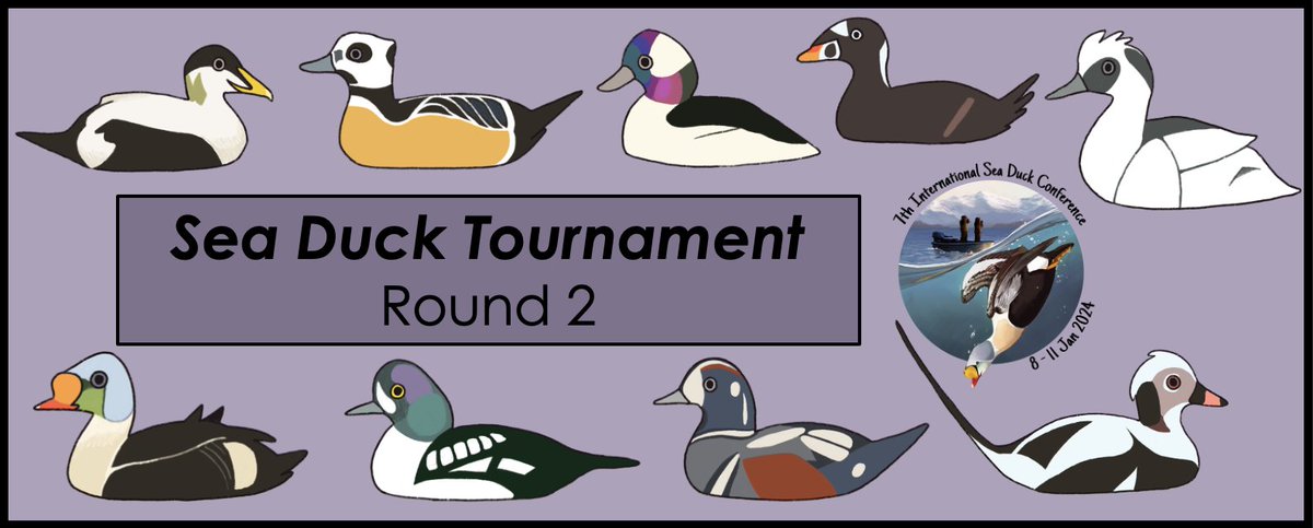 seaduckconf's tweet photo. Welcome to round 2 of the #ISDCSeaDuckTournament, held during #7ISDC!🪶

After some close matches in round 1, nine #seaducks took their first wins and are included in the graphic below (by Jacey Wall)

We've got some interesting #seaduck battles down in the thread, good luck! https://t.co/r4IbQcCv0v