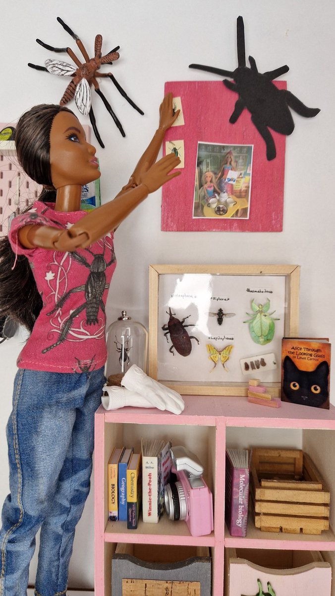 @entobarbie tweet media