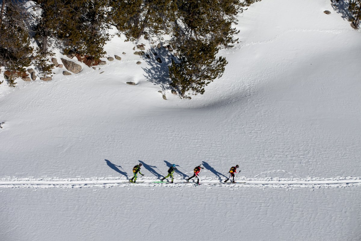 Sportvicious's tweet photo. ⛷️ANDORRA SKIMO, EL EDÉN DEL ESQUÍ DE MONTAÑA ⛷️
La 8ª edición de la travesía de esquí de montaña #AndorraSkimo tendrá lugar los días 17 y 18 de febrero de 2024.
Toda la información detallada en👉🏼SportviciousMagazine #70 https://t.co/qyYgnxbokZ https://t.co/9kMjgBtkNF