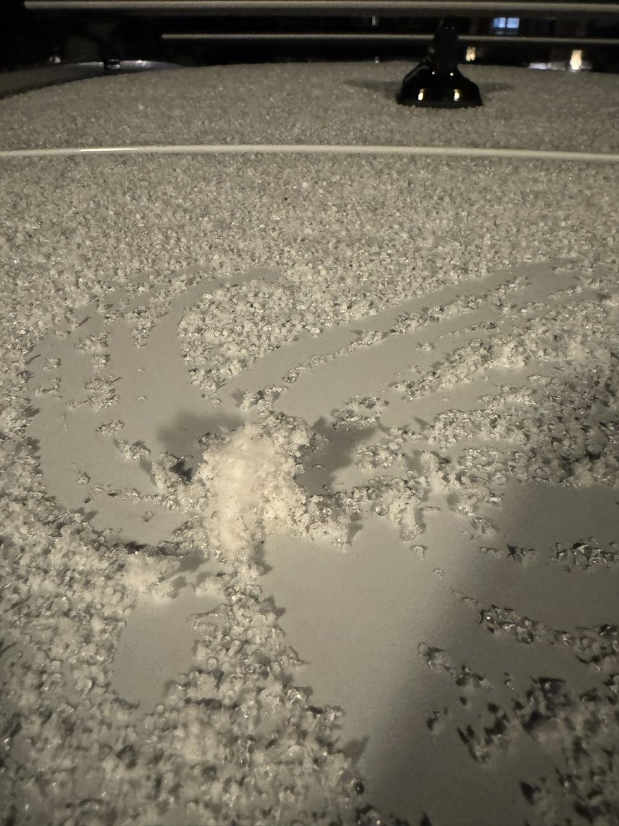 Alison Billing tweet media