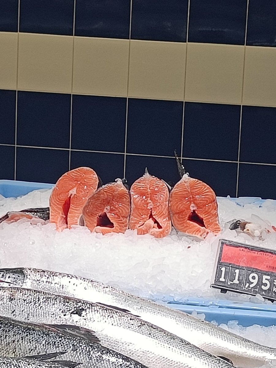 Francisco Javier tweet media