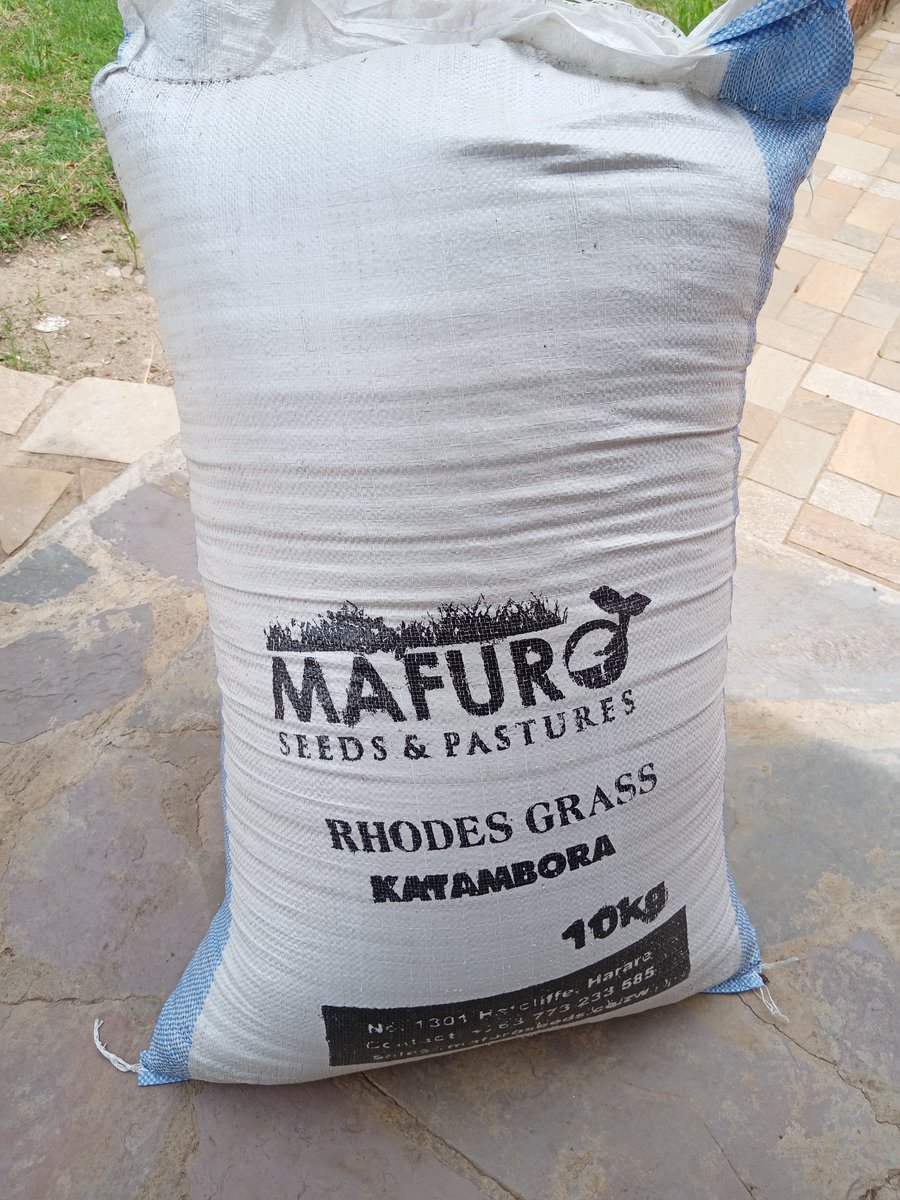 Davidzo Chizhengeni tweet media