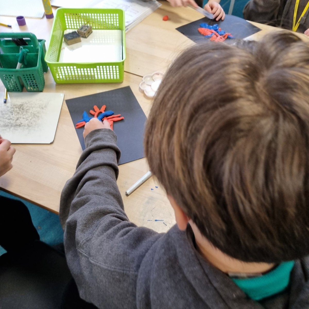 HebFed1's tweet photo. Year 6 making models of hearts from plasticine to show the oxygenated versus the deoxygenated sides of the circulation system in Science. https://t.co/7hjBT0nBxh