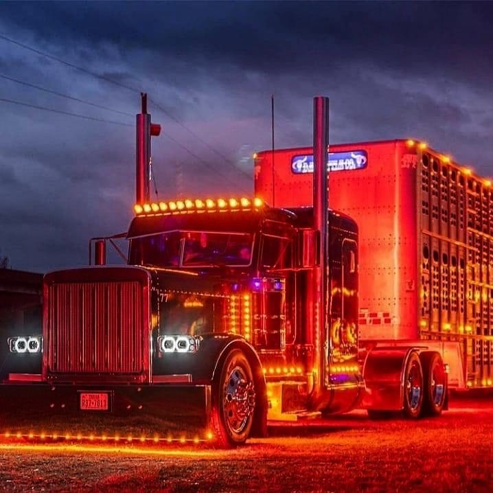 U.S.A Truck Drivers tweet media