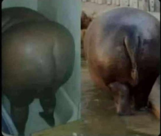 Ndatomboda kutiza ndichiti mumba mapinda chipembere😂