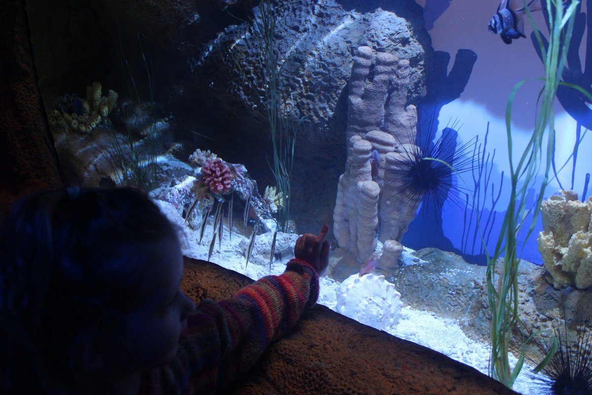 mikesheaff's tweet photo. Another lovely visit to Plymouth's excellent @NMAPlymouth with our granddaughter ❤️ https://t.co/lBKYR3eLak