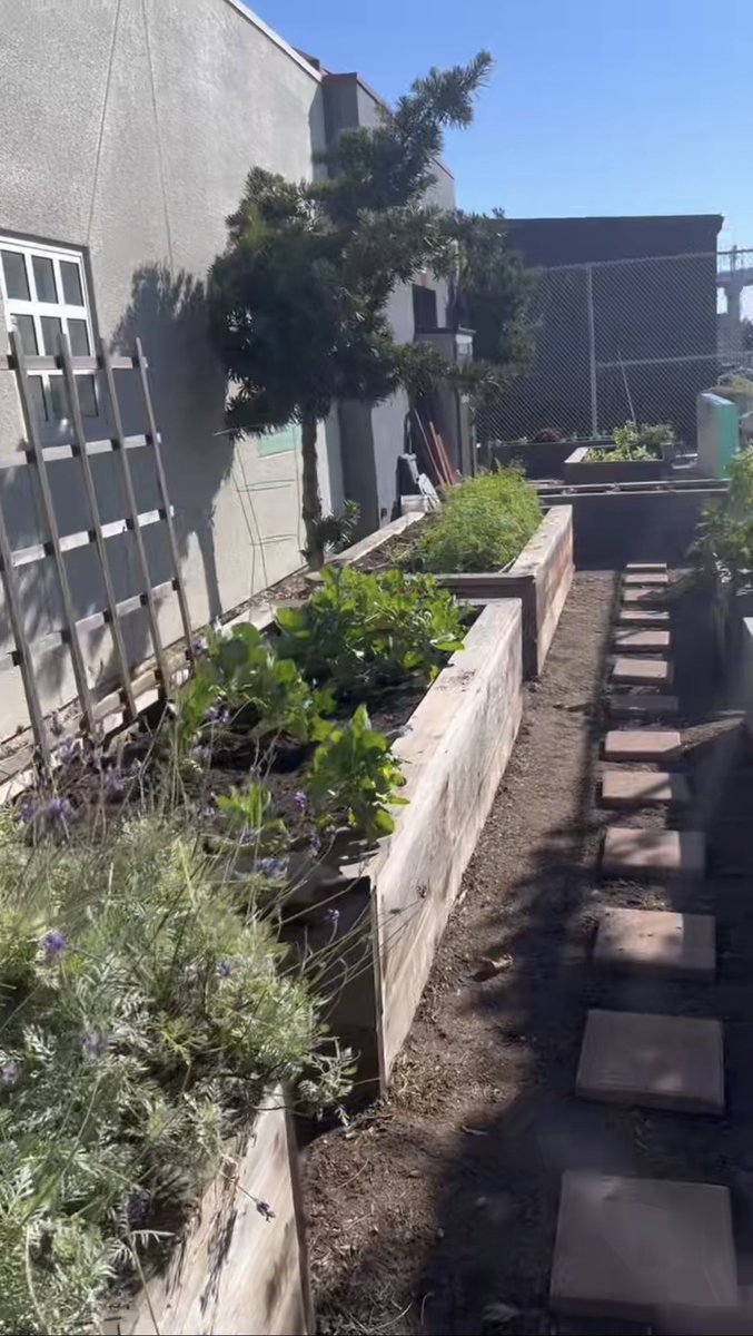 TheWebsterGroup's tweet photo. Our CEO is attending #PCMACL in San Diego. The week started with volunteer work to refresh a school, and a generous donation for continued improvements. The program kicks off today and Wendy is so excited! #cl24 #globaleventplanner #sandiego @WendyReeDrake https://t.co/MRfBd7urPC