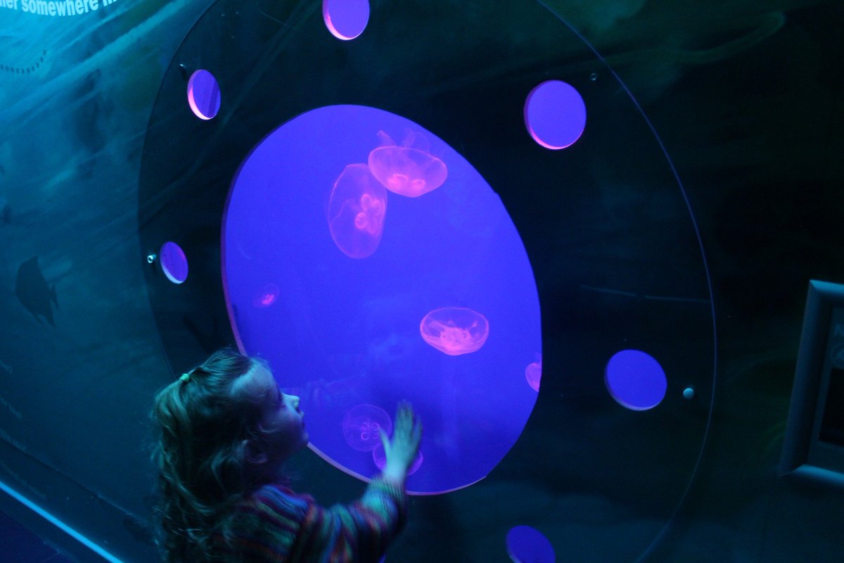 mikesheaff's tweet photo. Another lovely visit to Plymouth's excellent @NMAPlymouth with our granddaughter ❤️ https://t.co/lBKYR3eLak
