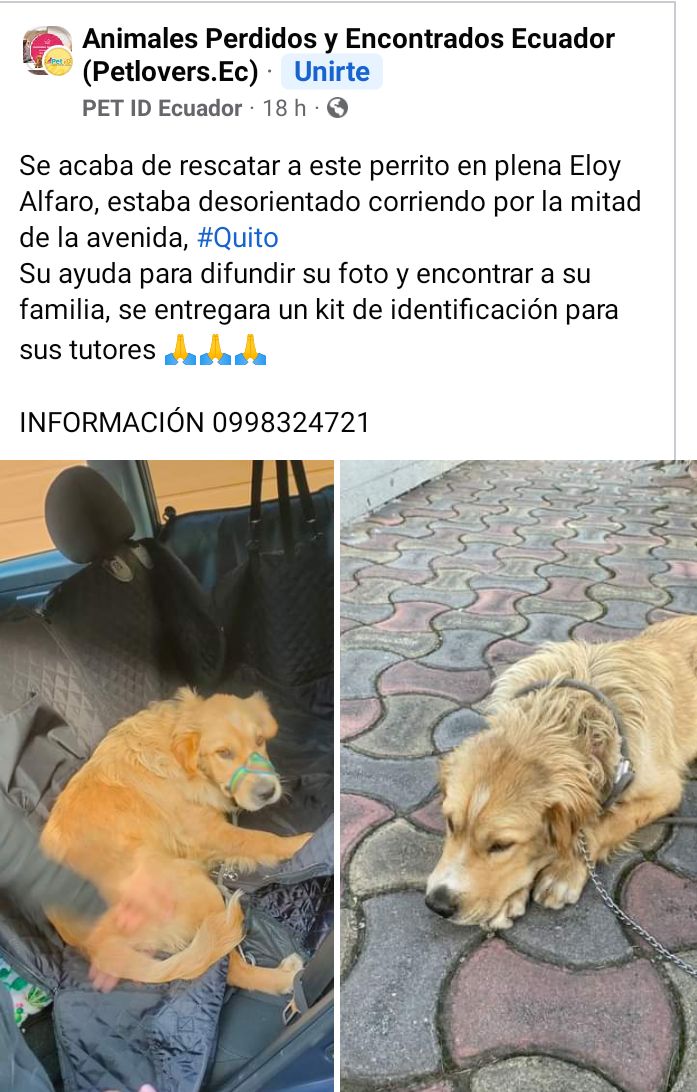 DefensoresAn's tweet photo. #Quito Ayúdanos a encontrar a su tutor https://t.co/FVEr3cBzQy