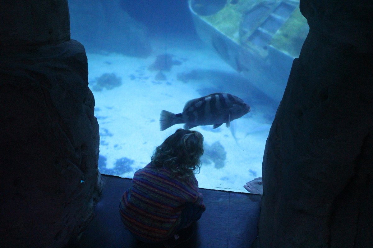 mikesheaff's tweet photo. Another lovely visit to Plymouth's excellent @NMAPlymouth with our granddaughter ❤️ https://t.co/lBKYR3eLak
