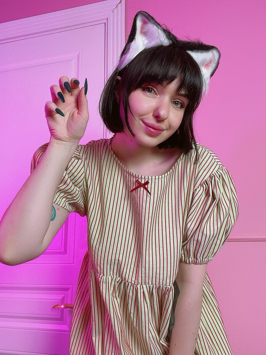 LilSlvKitten's tweet photo. new year new kitty 🐱 https://t.co/kS1Tu6dYbK