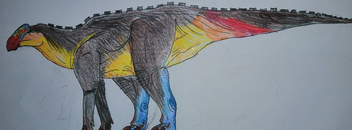 Jurassic_Fan20's tweet photo. Gryposaurus notabilis
(References Below)
#paleoart #drawing #dinosaur #hadrosauridae #saurolophinae #gryposaurus #gryposaurini https://t.co/nQq0aq2emY