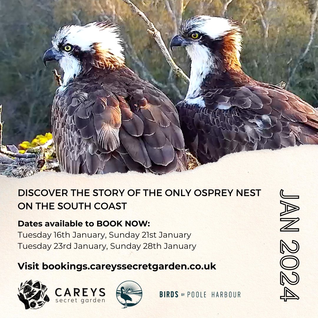 Hello 2024! We’re super excited to be starting the year with a Migration Celebration. Our first few events are on the booking site now, and we’re beginning with the incredible story of Carey’s #ospreys!