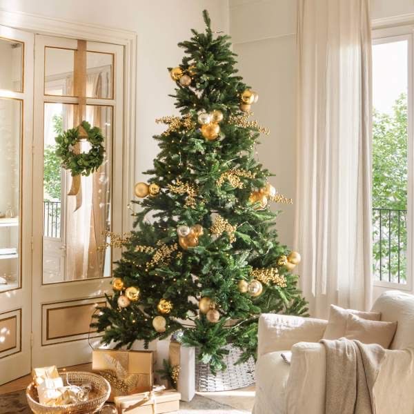Cuándo es más recomendable quitar el árbol de Navidad, según el Feng Shui

buff.ly/4aOxtWY