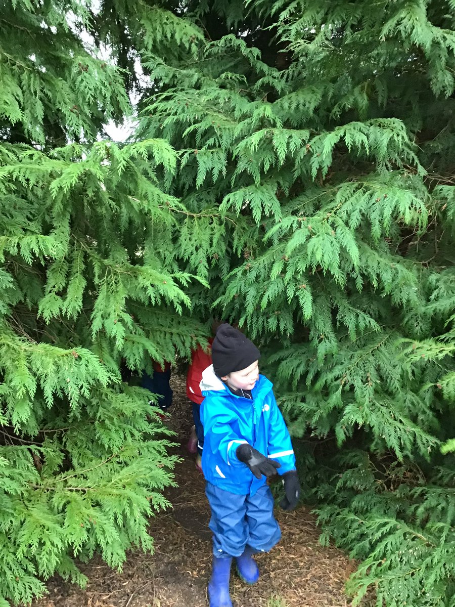 PipersForestSch's tweet image. Reception @PipersPrePrep enjoyed discovering new paths and trees around our grounds. We also had the first snow fall ❄️ #winter #forestfun #pipersgrounds